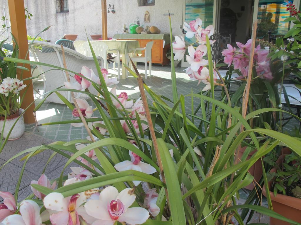 Aparthotel Villa Marinu Forio di Ischia Buitenkant foto