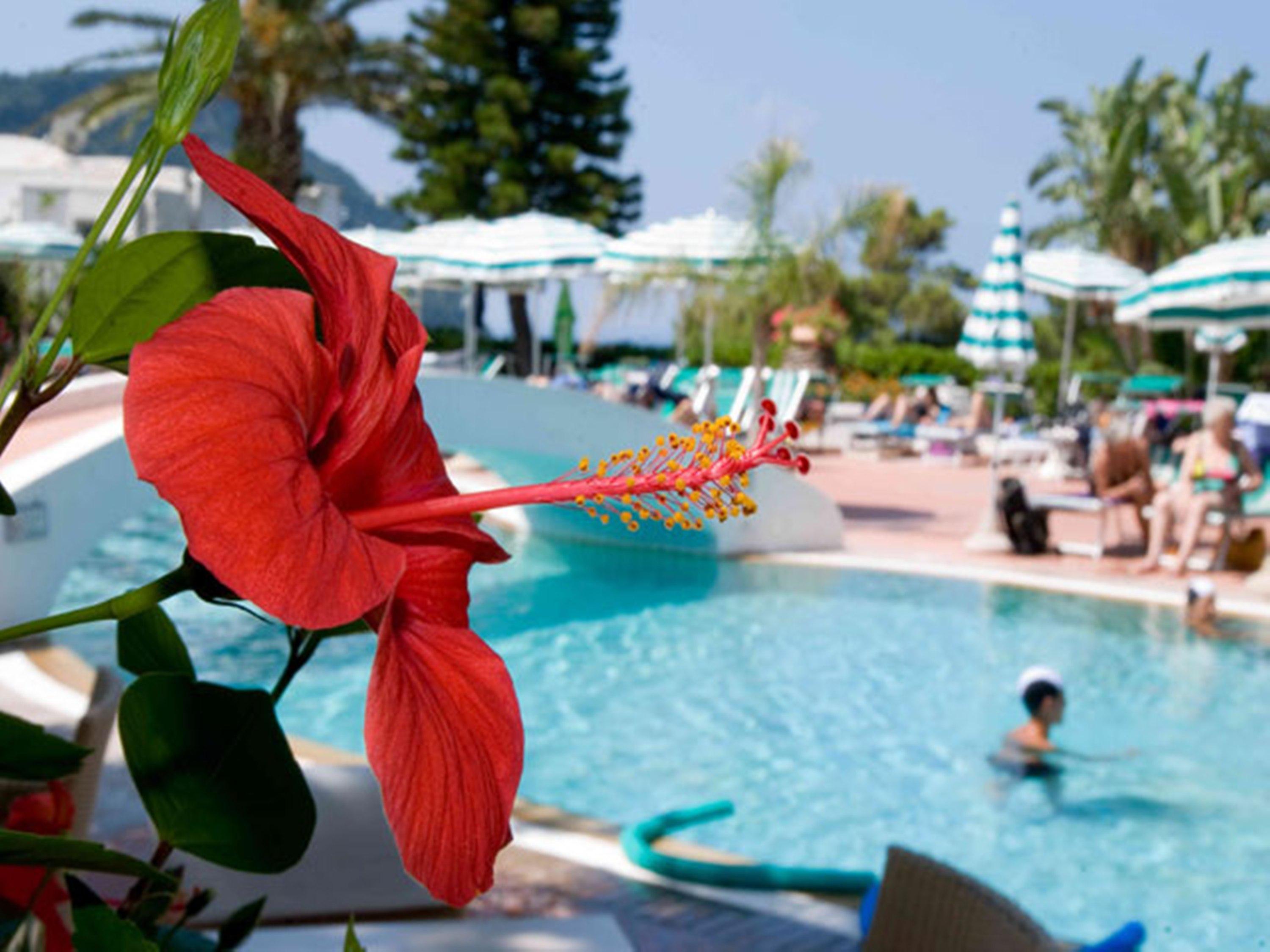 Aparthotel Villa Marinu Forio di Ischia Buitenkant foto