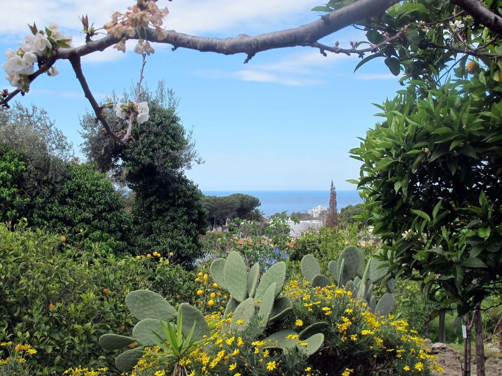 Aparthotel Villa Marinu Forio di Ischia Buitenkant foto